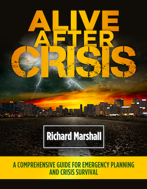 Alive After Crisis Book